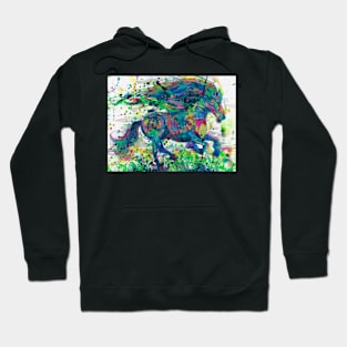 WATERCOLOR HORSE .3 Hoodie